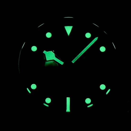 Pagani Design 1718 Orologio Uomo Vintage Cronografo, Quadrante Panda, Movimento VK64, Acciaio Inox, Impermeabile 100m, Luminescente